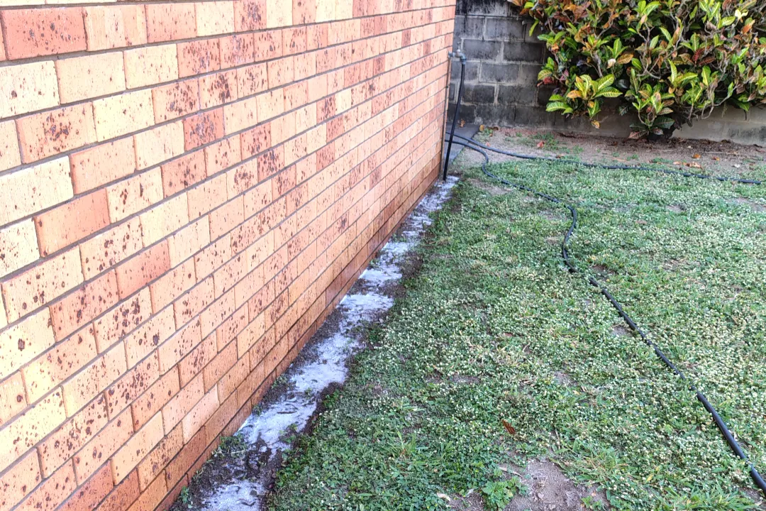 Pest Control Magnetic Island