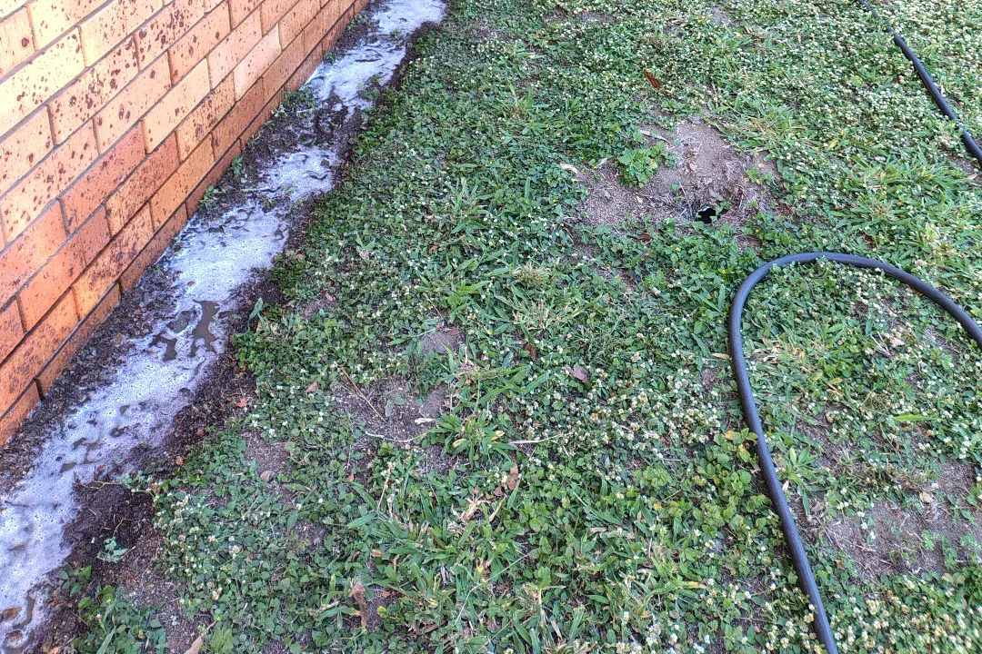 Pest Control Townsville