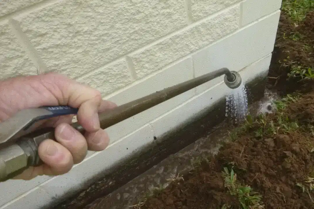Pest Spray Townsville